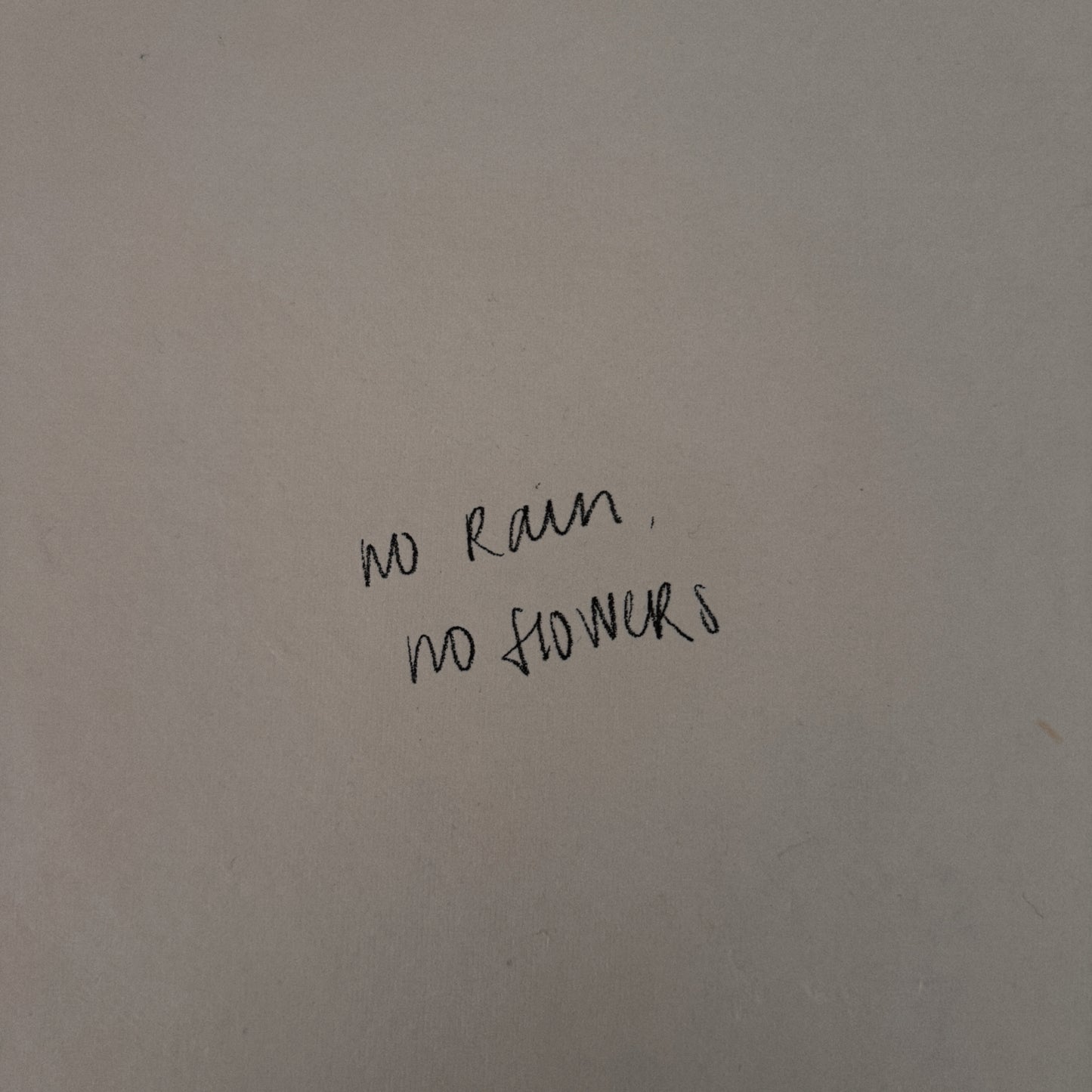 no rain, no flowers