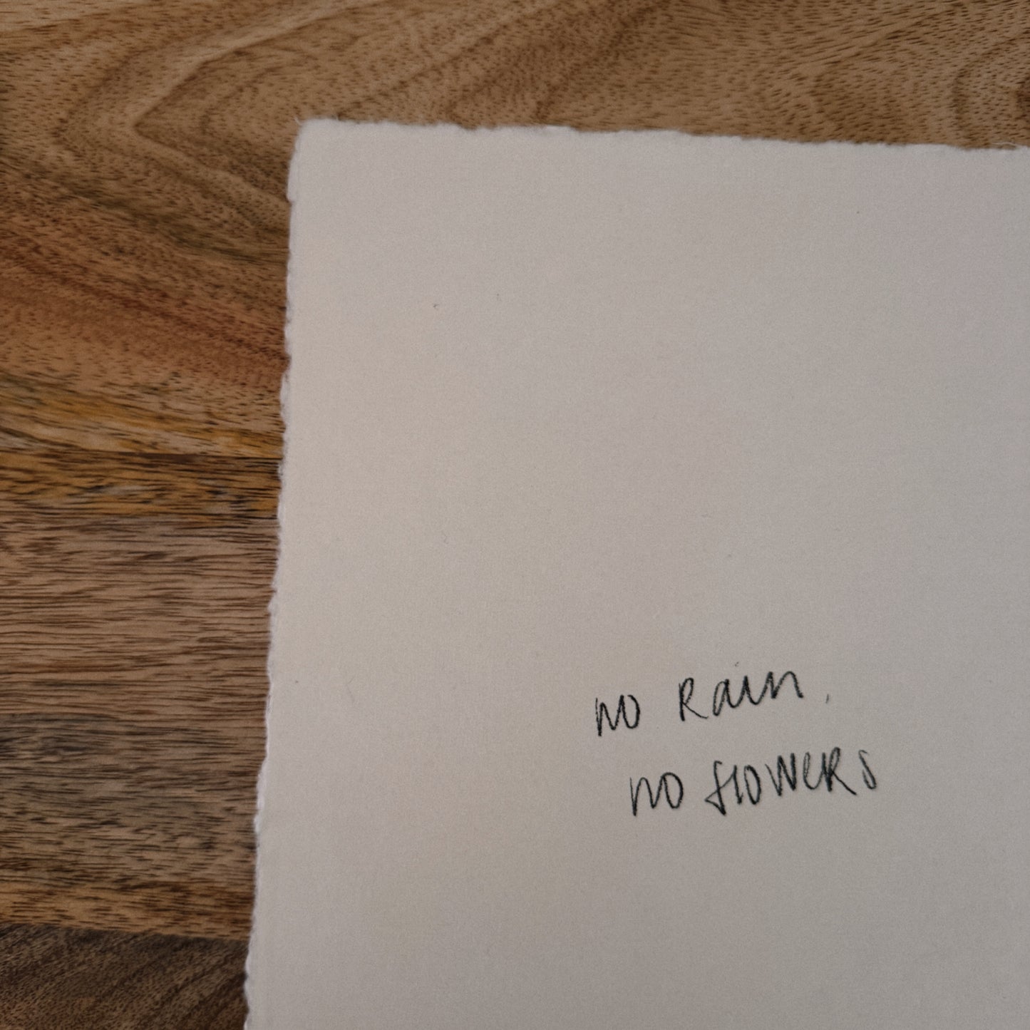 no rain, no flowers