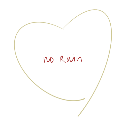No Rain LLC