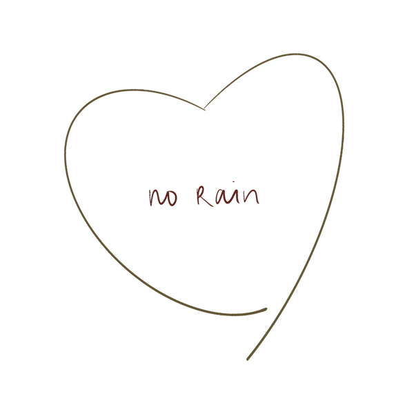 No Rain LLC